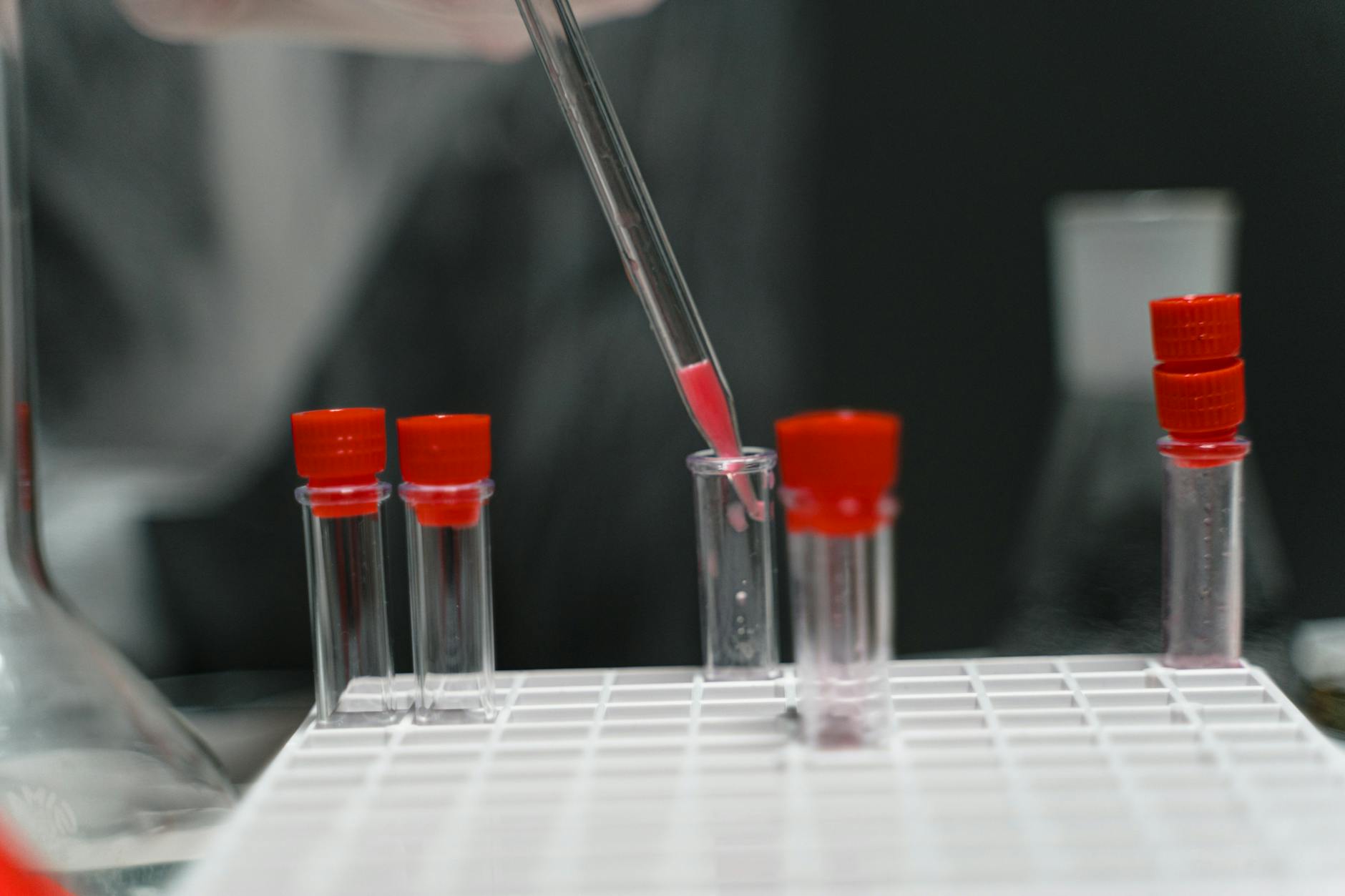 Close-up of pipette transferring liquid in laboratory test tubes.