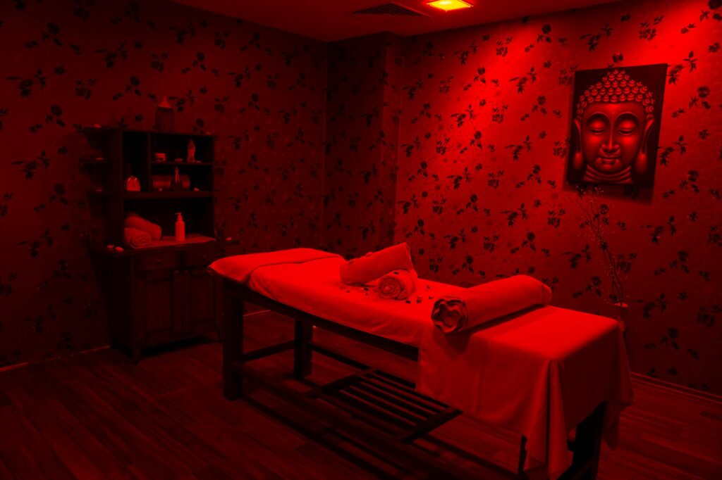 Psychedelic therapy executives — MenteYPlacer executive guide